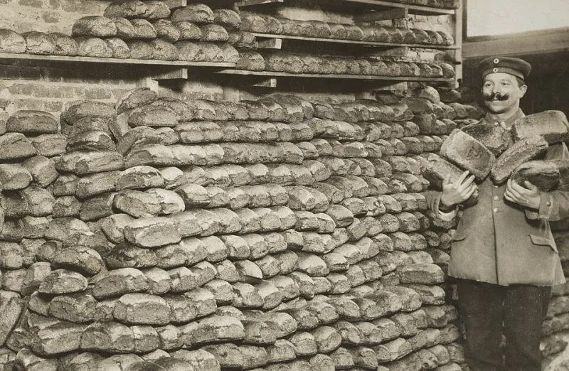 Von Nord nach Süd: Die faszinierende Brotlandschaft Deutschlands und ihre verborgenen Schätze